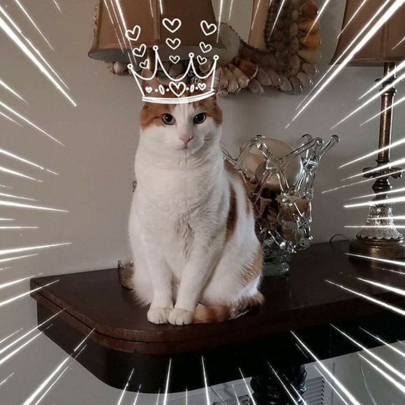 Meet your Posher, Mary - Picture 1 of 14